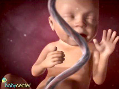 This the first card image